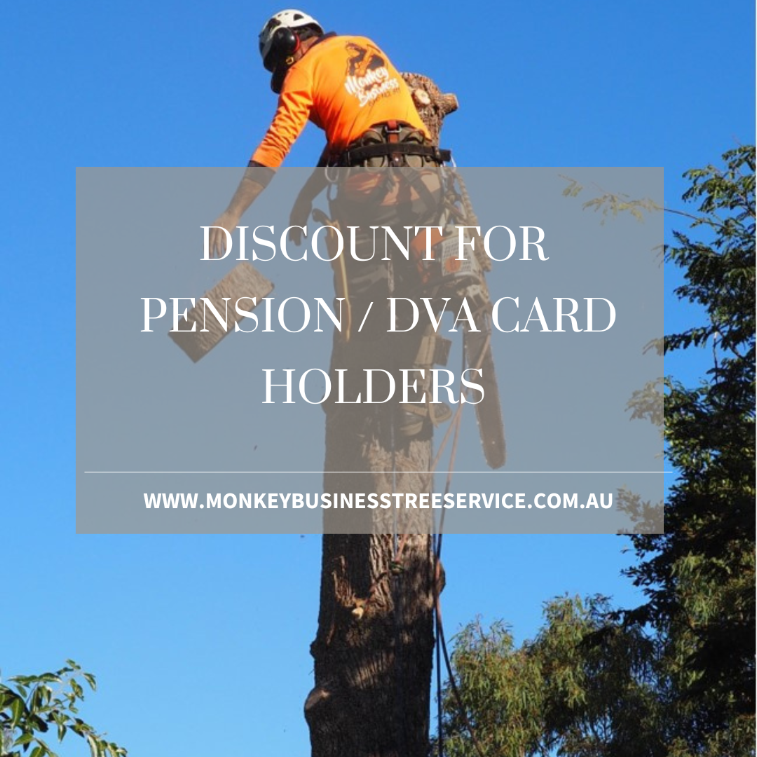 Sunshine Coast Tree Service offering Pensioner and DVA discounts