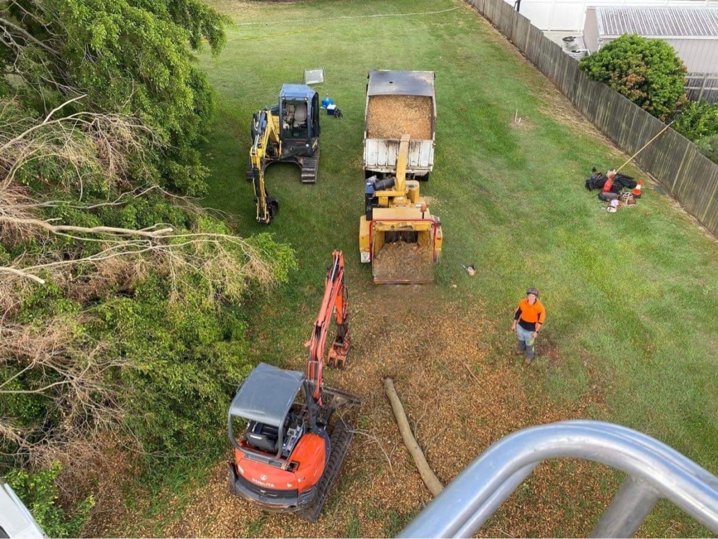 Tree Removal professional arborist services Sunshine Coast. All tree lopping & Stump grinding & Stump Removal service