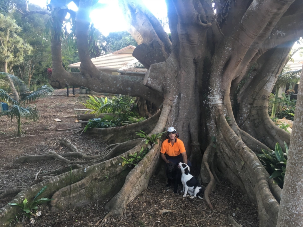 Arborist John Blythe with his favourite four legged babes. All tree removal and stump grinding works available. Contact us for a free quote
