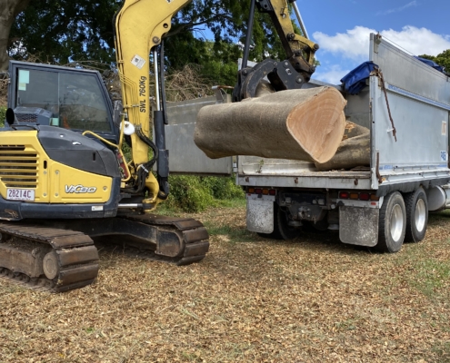 Body truck & excavator removing large timber logs. Sunshine Coast tree service.